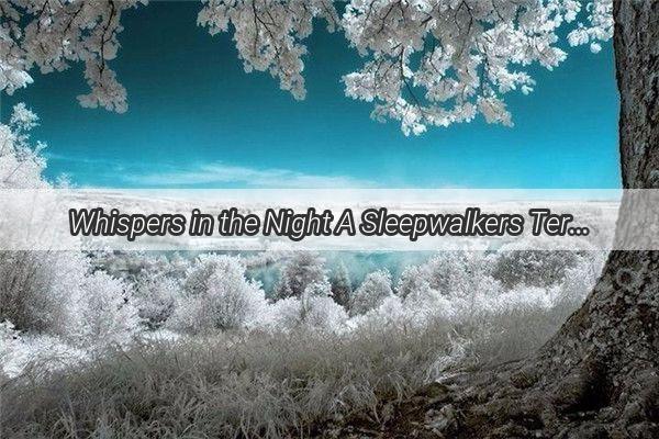 Whispers in the Night A Sleepwalkers Terrifying Encounter with the Unseen